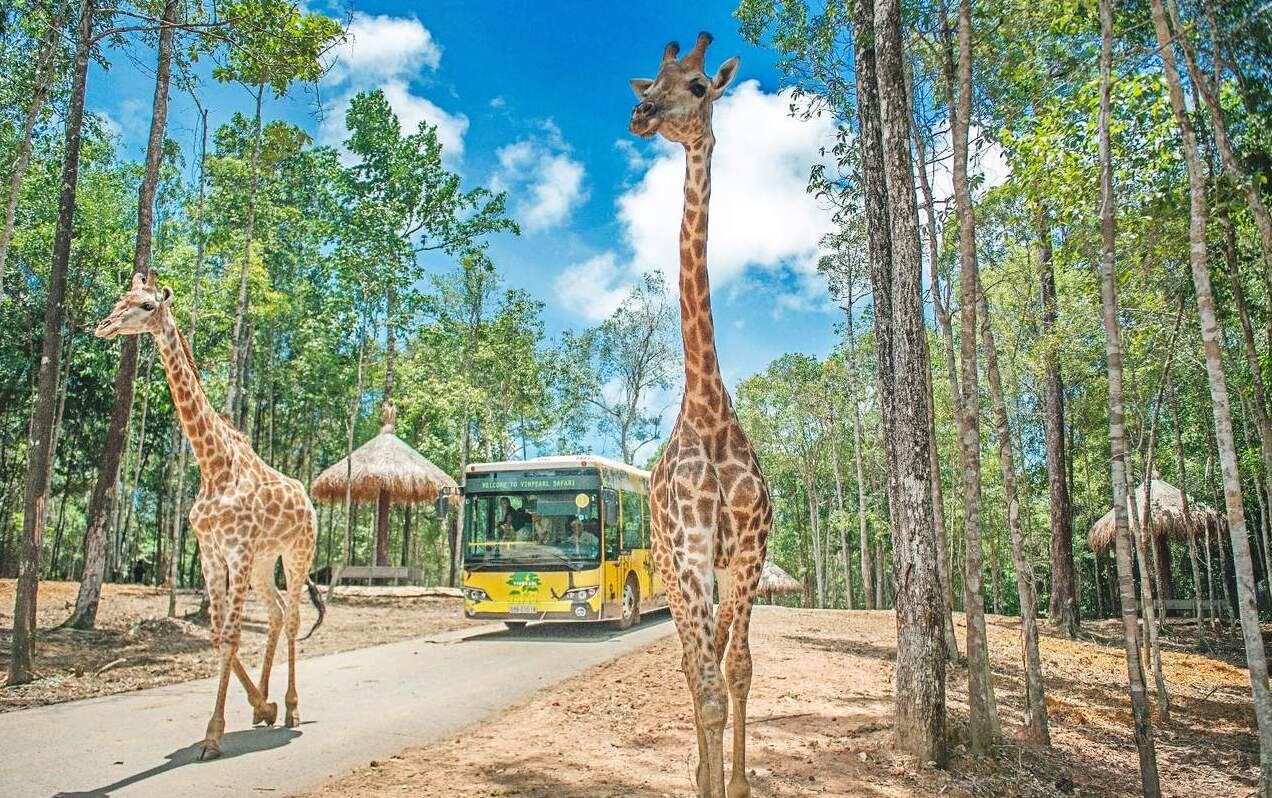 Vinpearl Safari Phú Quốc