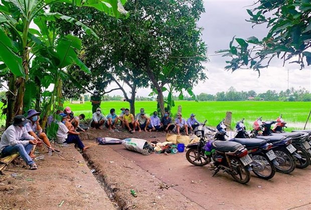 Các đối tượng tham gia đá gà ăn tiền